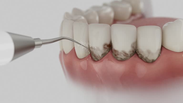 Reliable Dental contractor in Vermilion, OH by Dentist Open Now